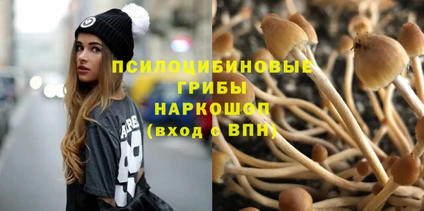 кокс Карпинск