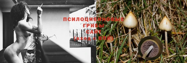 прущий лед Карталы